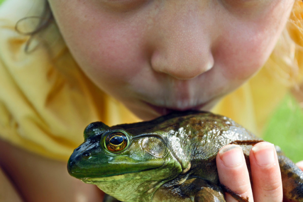 The lower part of a child's face leaning forward to kiss a bright green frog with a brown eye that she's holding in her hand